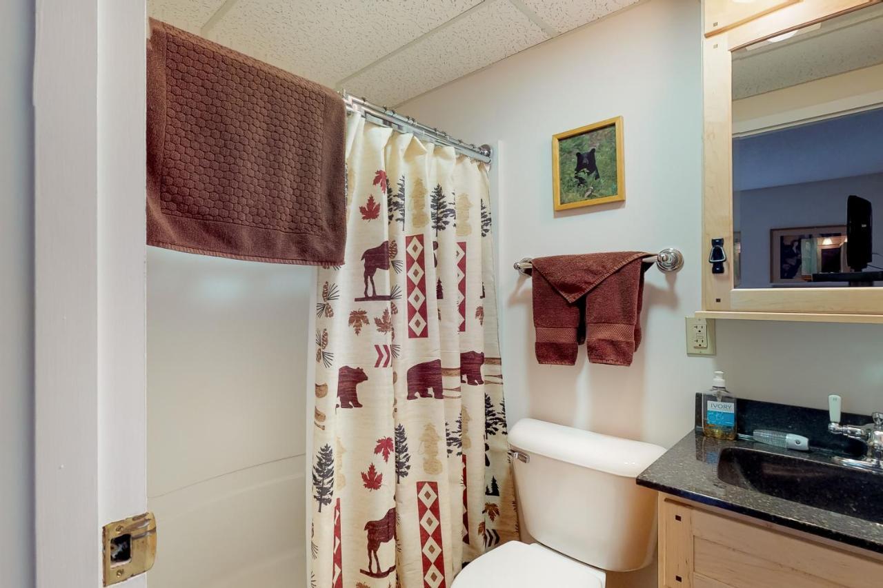 Squaw Village Condo Greenville Pokoj fotografie